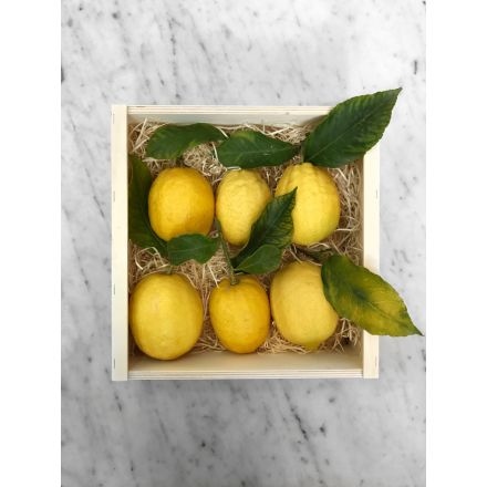 Coffret 6 Citrons de Menton IGP