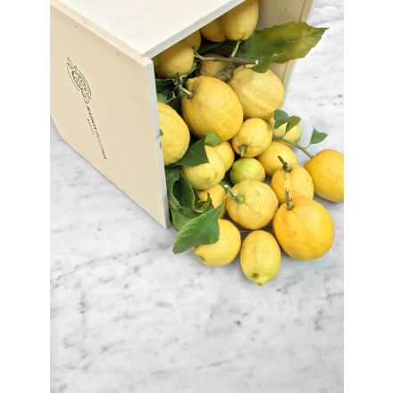 Coffret 4,5 kg Citrons de Menton IGP