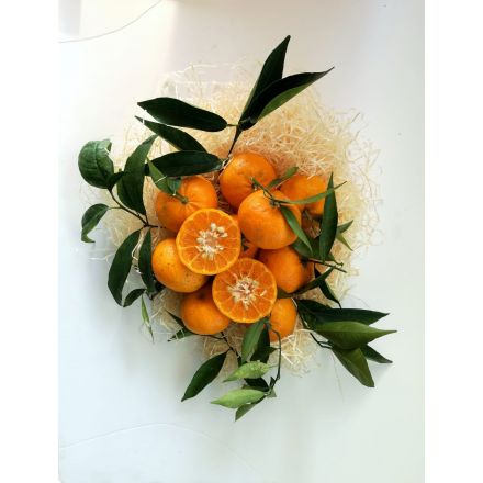 Mandarine Bio - 4,5 kg