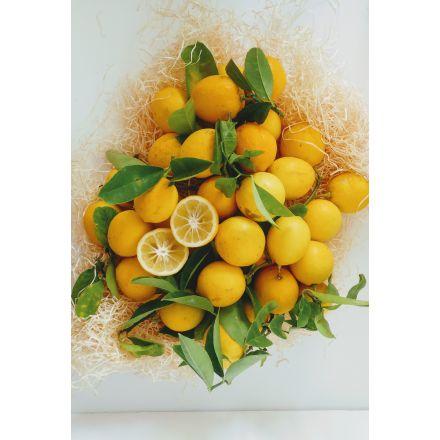 Citron Meyer - 2 kg