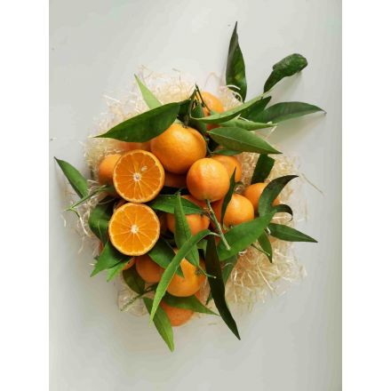 Clémentines Bio 2 kg