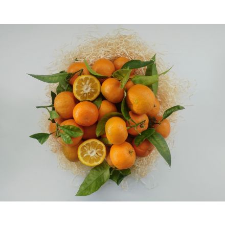 Orange Amère (Bigarade) Bio - 4,5kg