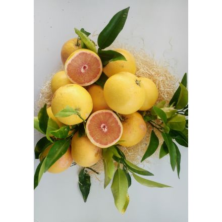 Pomelos  Bio - 2 kg